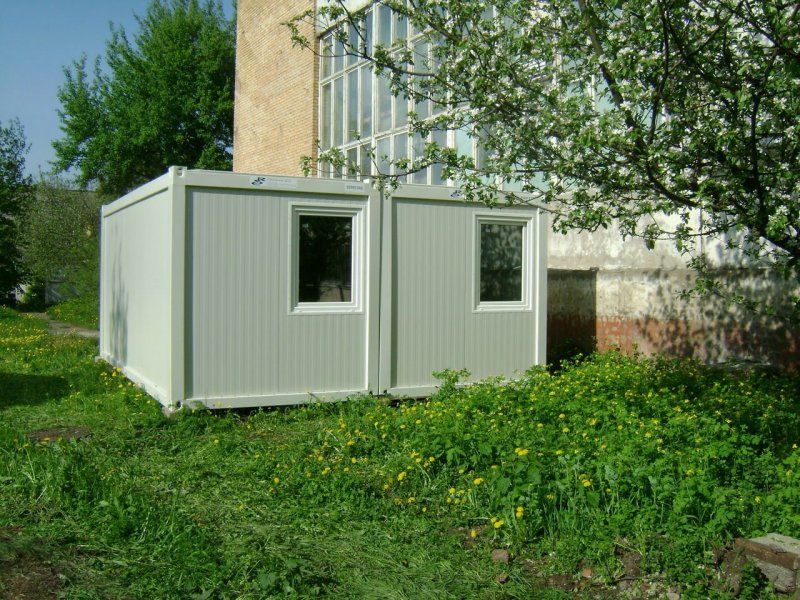 Цвет сосны бытовка