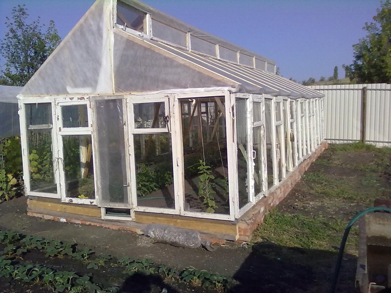 Теплица Botanic