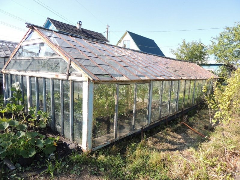 Теплица Greenhouse 1117