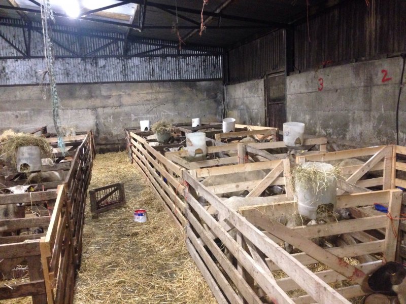 Mini Barn cemp