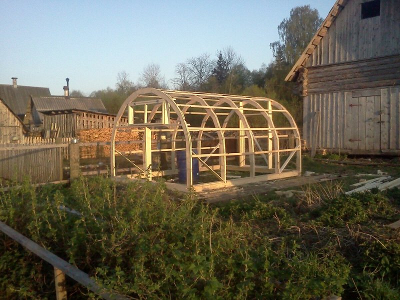 Теплица Greenhouse