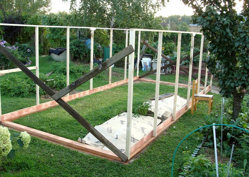 Парник из оконных рам для огурцов