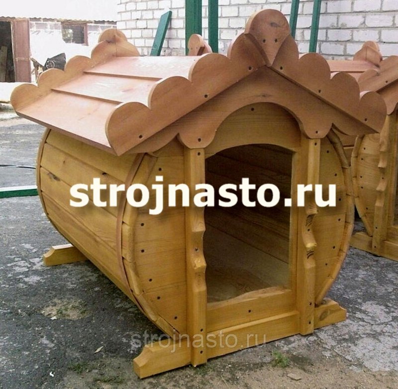 Необычные будки для собак
