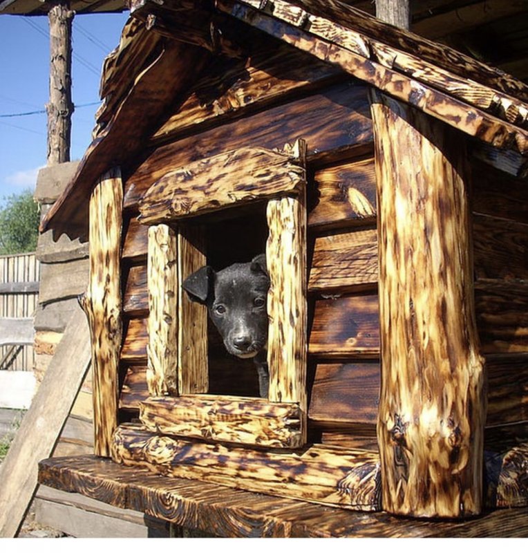 Курятник с горбыля