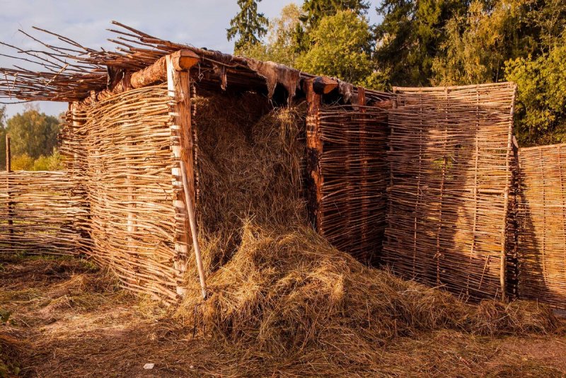 Сарай из делового горбыля