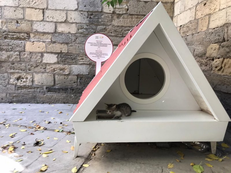 Кошачий домик для бездомных кошек