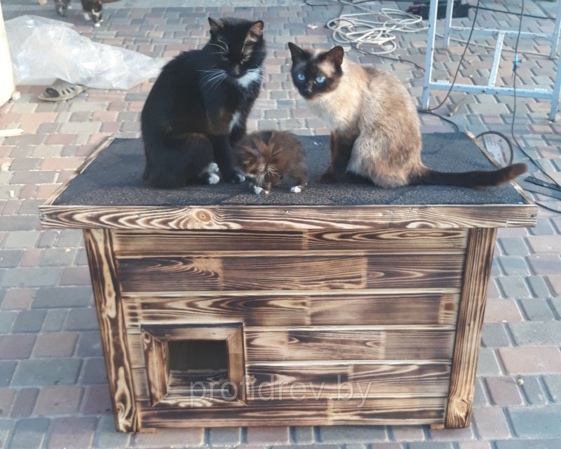 Кошачьи домики для уличных кошек