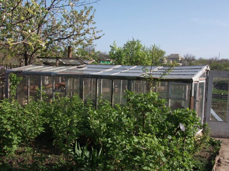 Парник из старых оконных рам