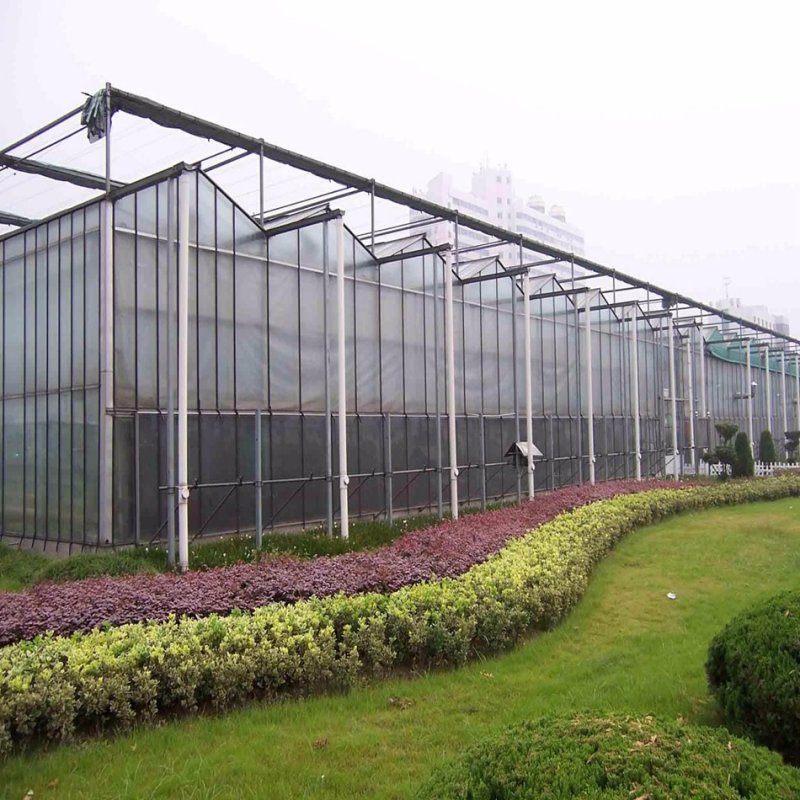 Venlo теплицы 9.6m