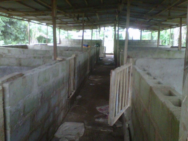 Каркасный свинарник