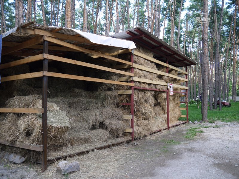 В сарай привезли