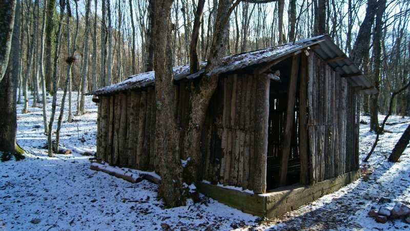Сарай курятник из поддонов