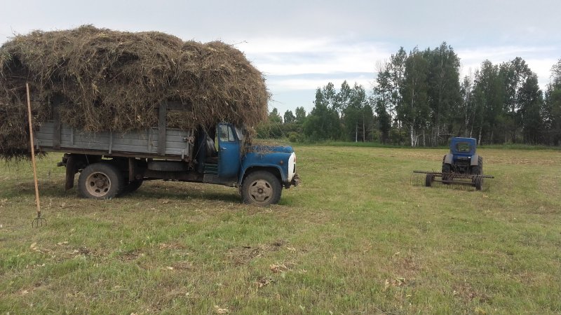 Фото в лесу на сенокосе УАЗА
