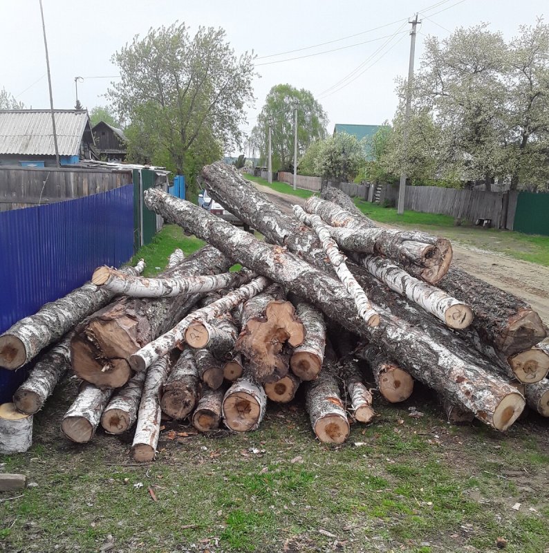 Руза Московская область купить дрова