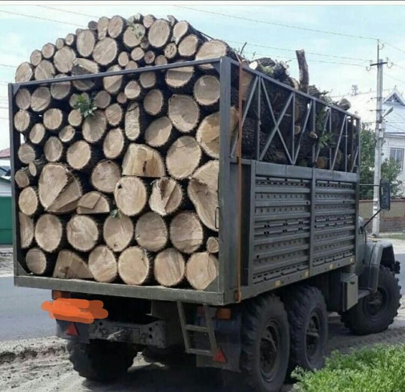 Куча древесины