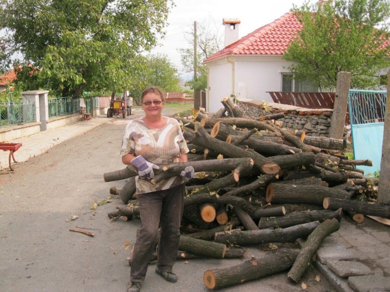 Фотосессия с дровами летом