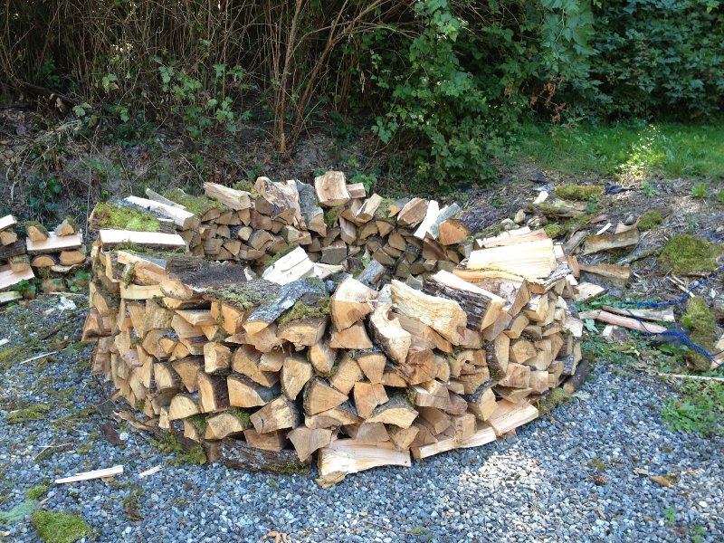 Firewood Visby