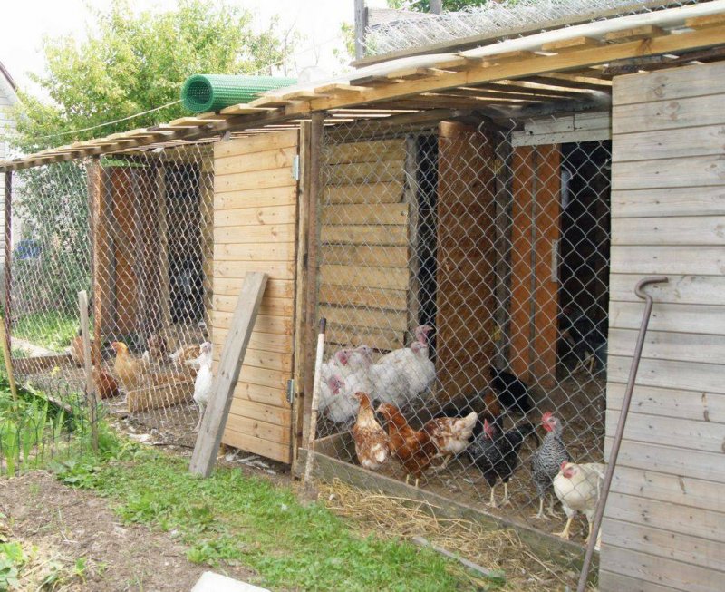 Курятник на 30 кур несушек