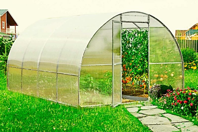 Теплица Greenhouse