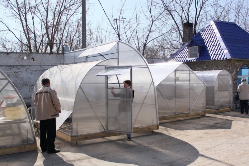 Митлайдер теплица
