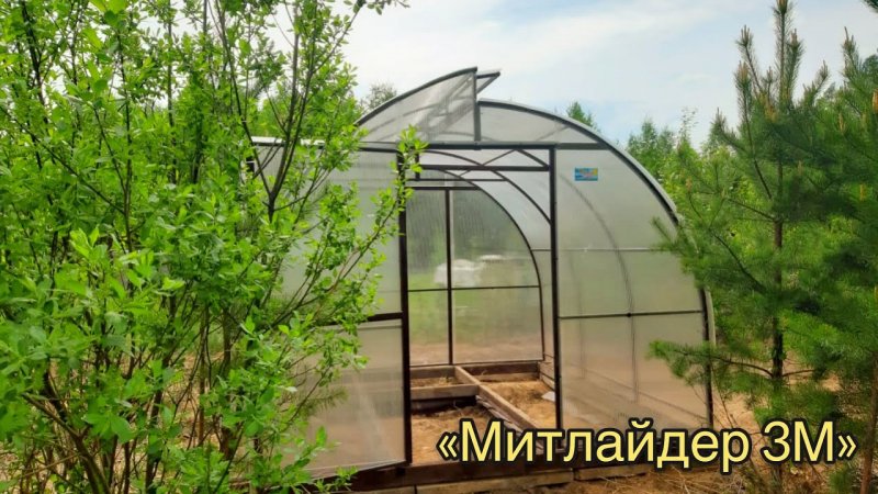 Теплица Митлайдер дуги