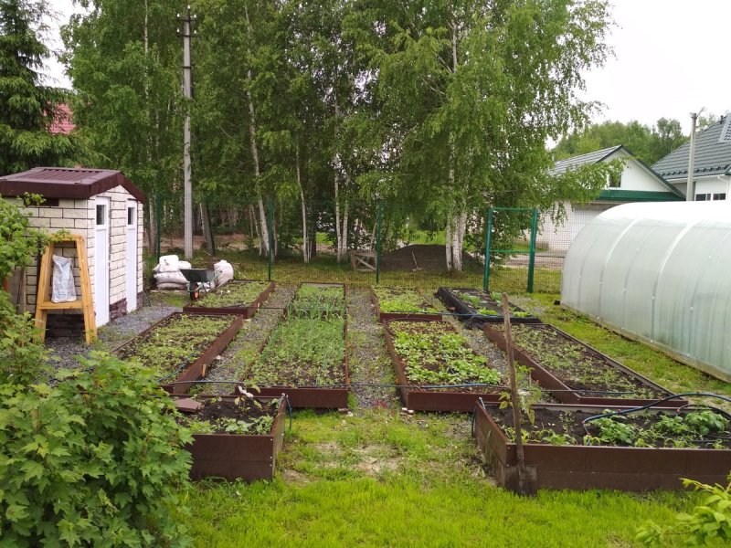 Огородик Городище