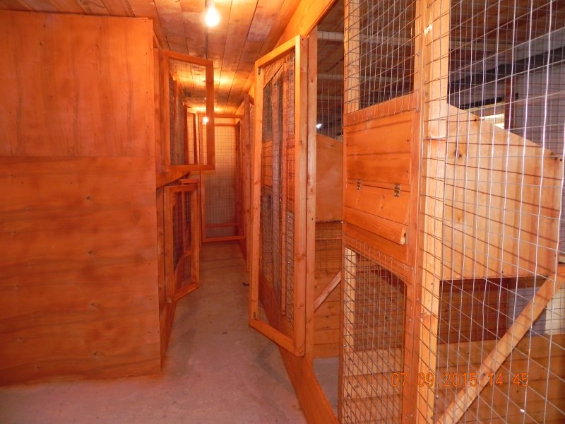 Курятник из поликарбоната