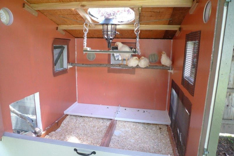 Курятник из гипсокартона