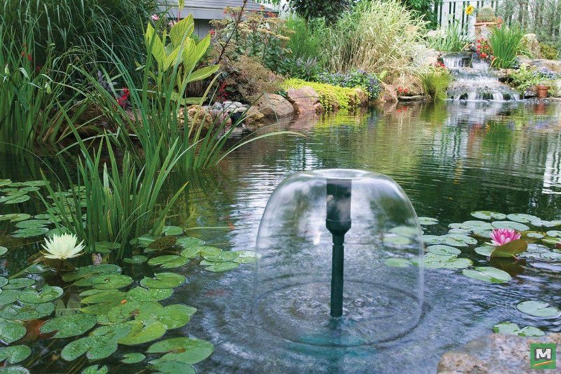 Syncra Pond 1.5