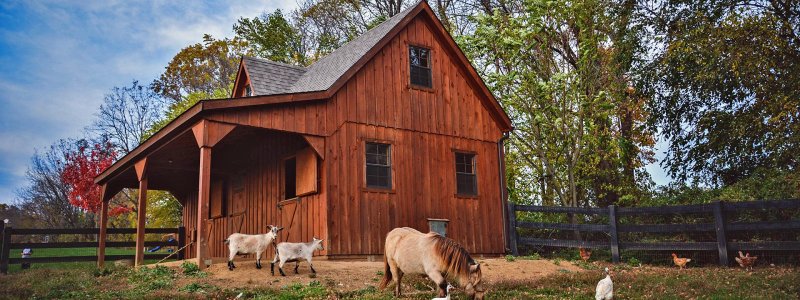 Mini Barn cemp