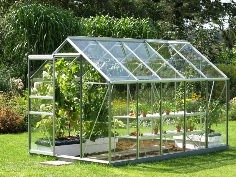 Greenhouse 6x10