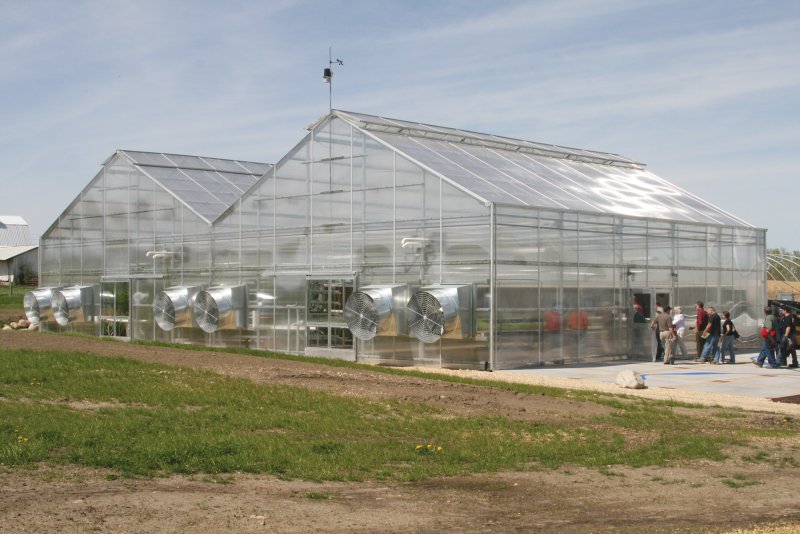 Теплица Greenhouse Израиль