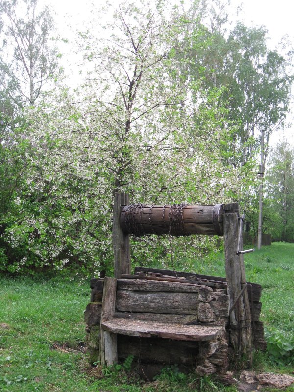 Деревенский колодец