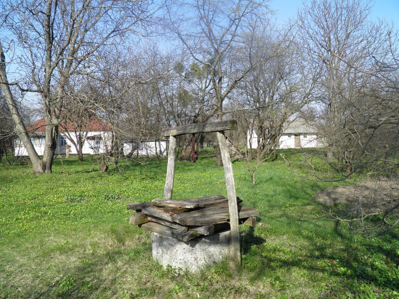 Старинный колодец в лесу