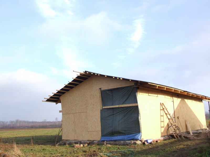 Сарай для коров