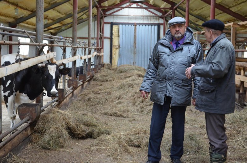 Тюлячинский район деревня Алан животноводческий комплекс