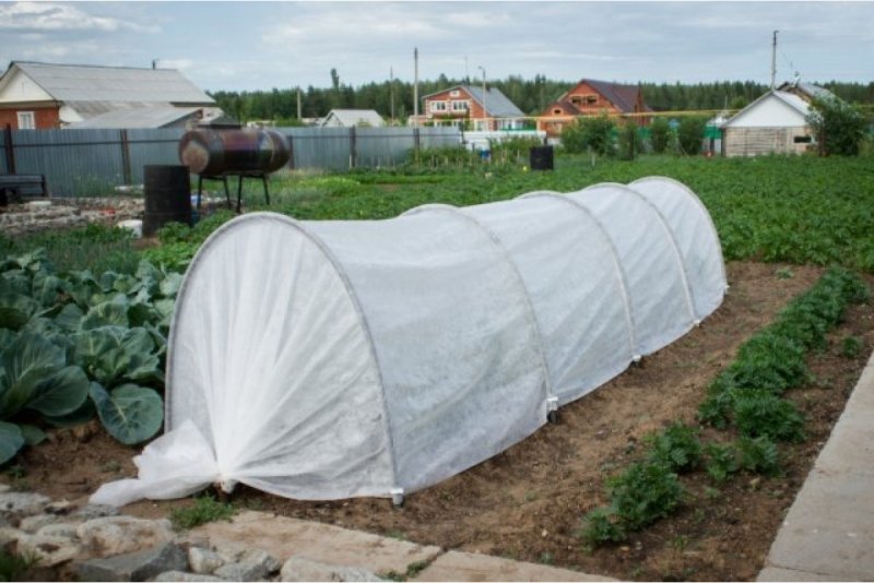 Парник Подснежник 4м БАШАГРОПЛАСТ