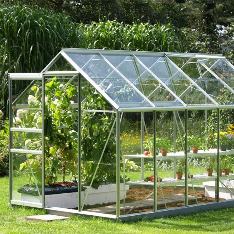 Теплица Greenhouse