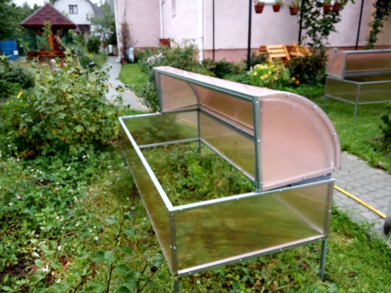 Парник Лотос Воля