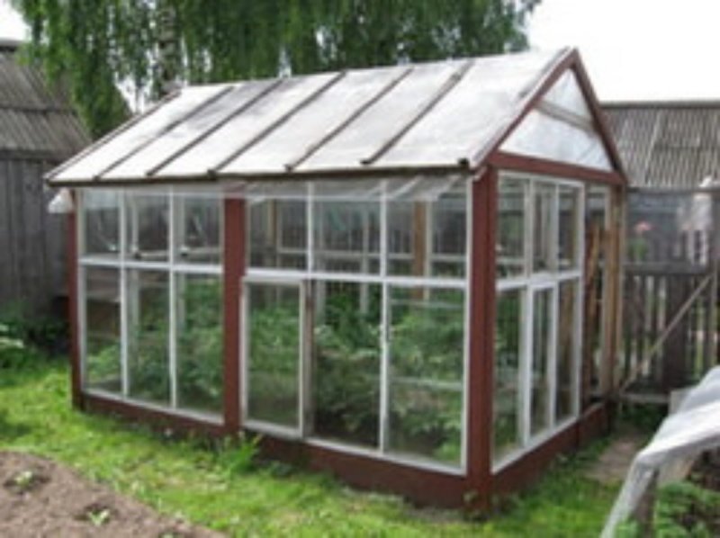 Парник из стеклянных рам