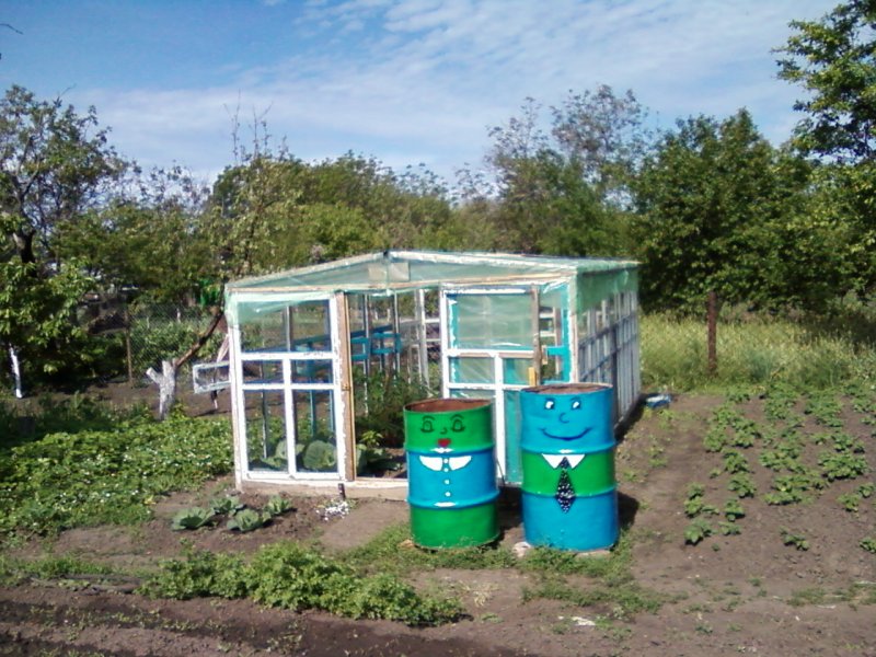 Парник из дверей и рам