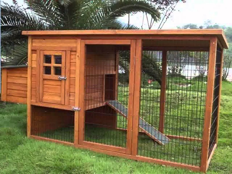 Мини курятник на 5 кур