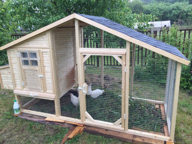 Cupola Chicken Coop