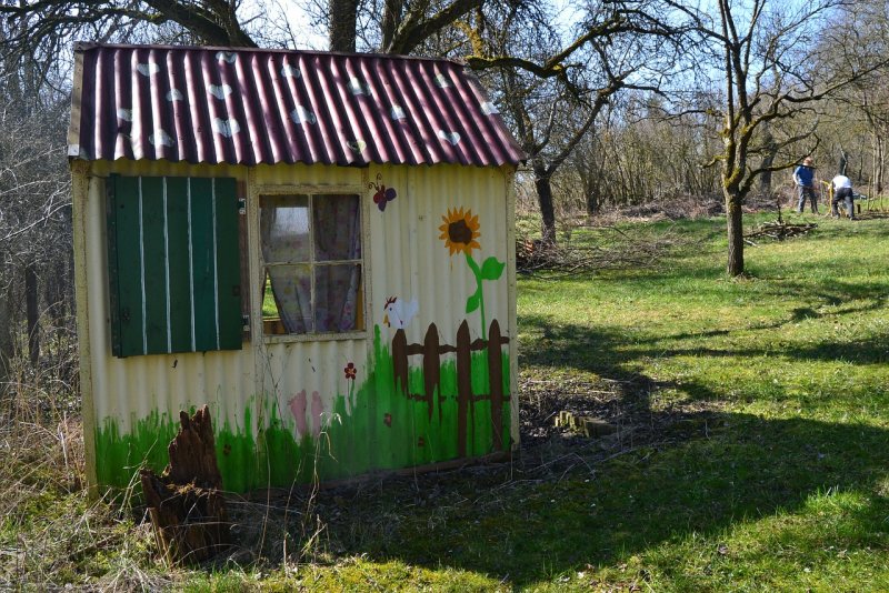 Сарай в огороде