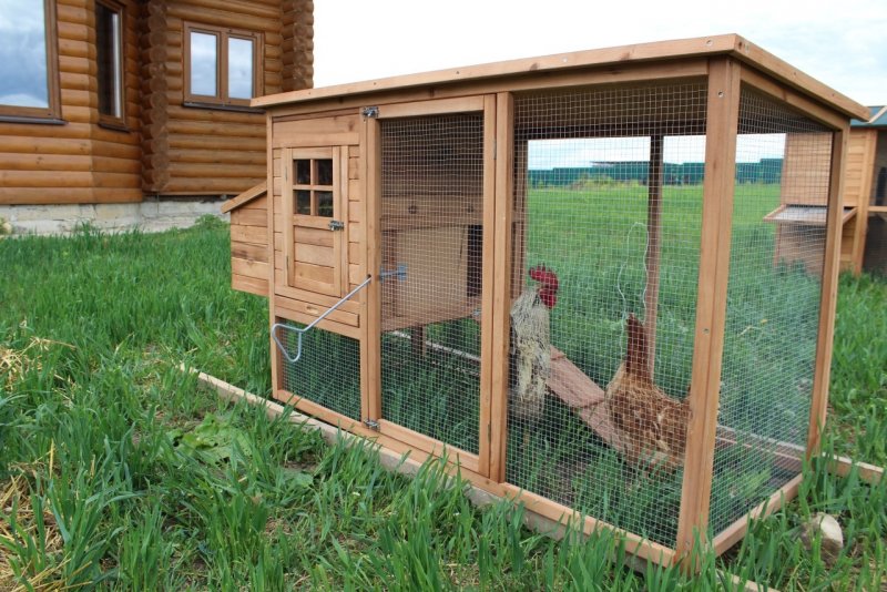 Оригинальный курятник