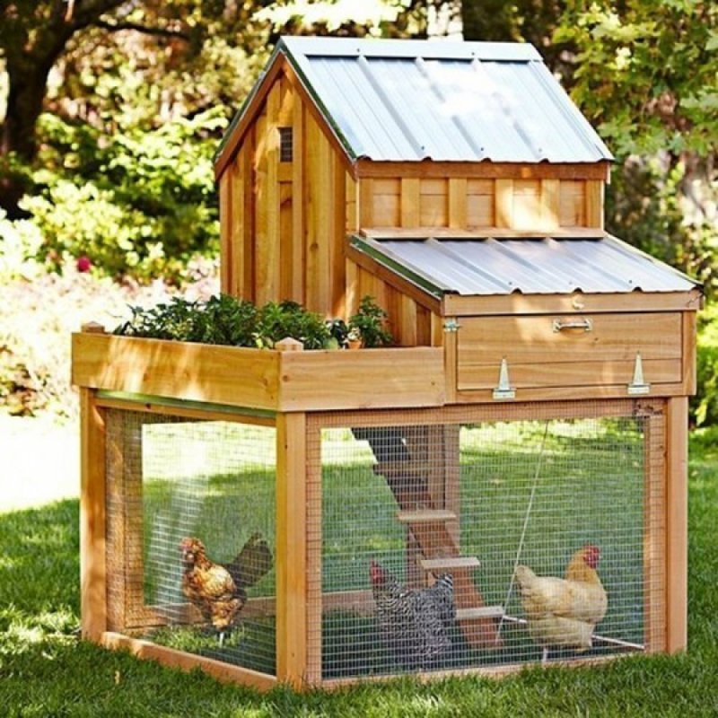 Дачный курятник на 10 кур