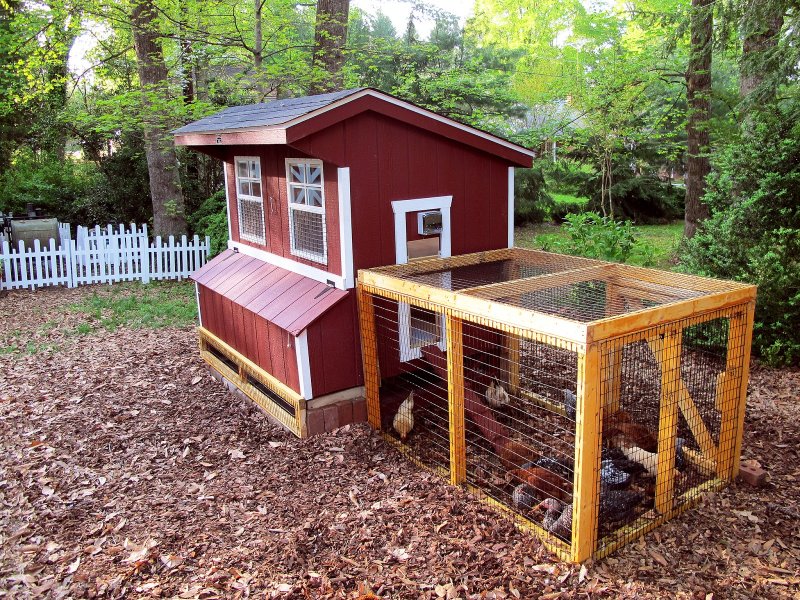 Chicken Coop with Flowers