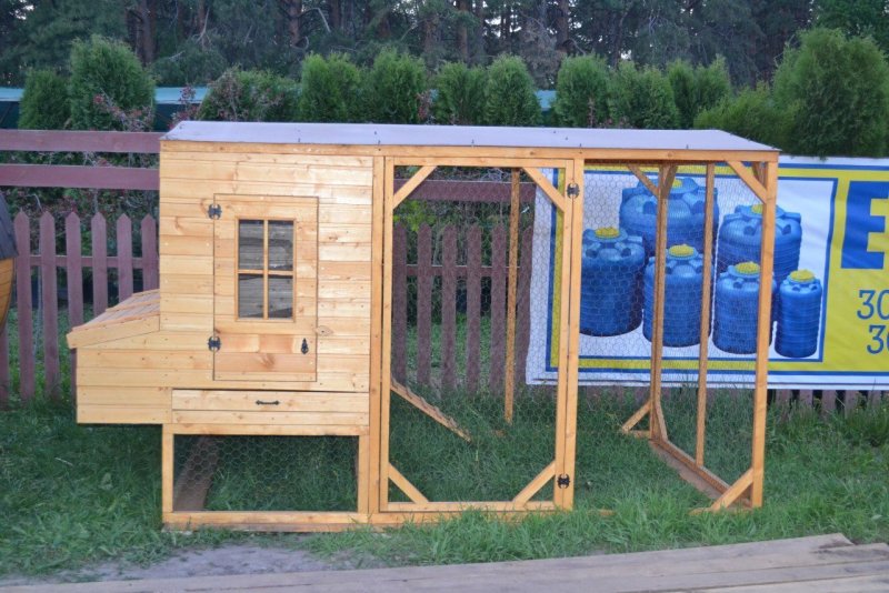 Мини курятник