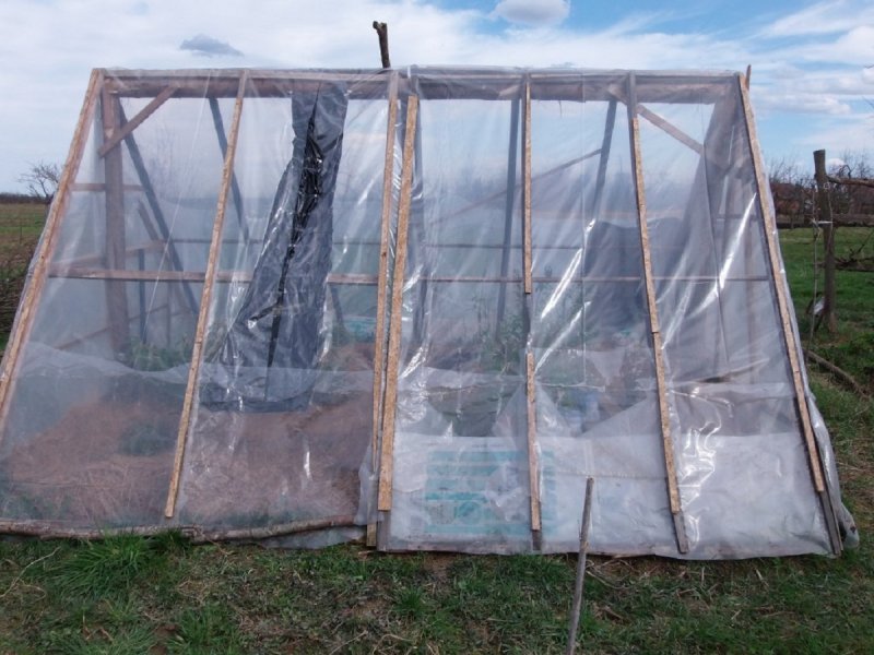Мини теплица Greenhouse