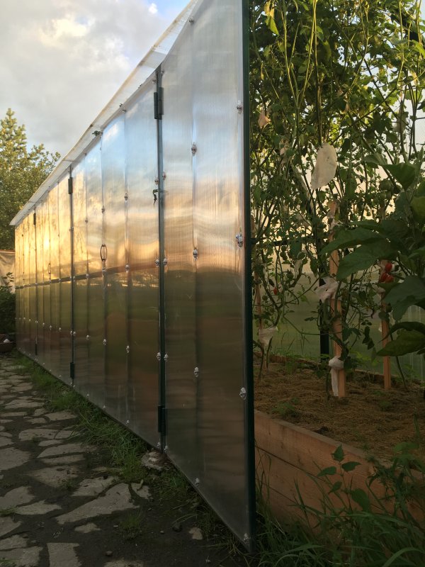 Узкий парник вдоль забора